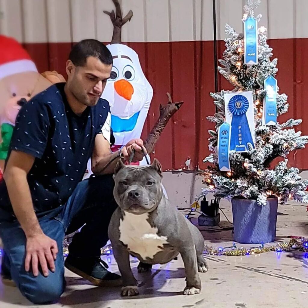 Instagram post from dcbkennels. This post is in position 6.