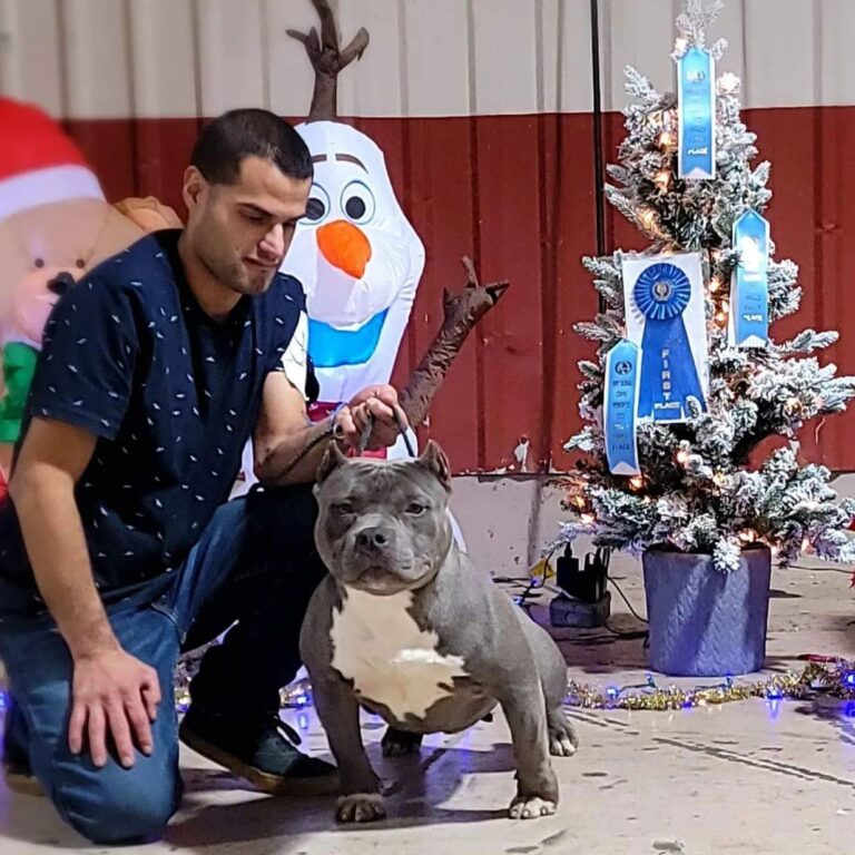 Instagram post from dcbkennels. This post is in position 7.